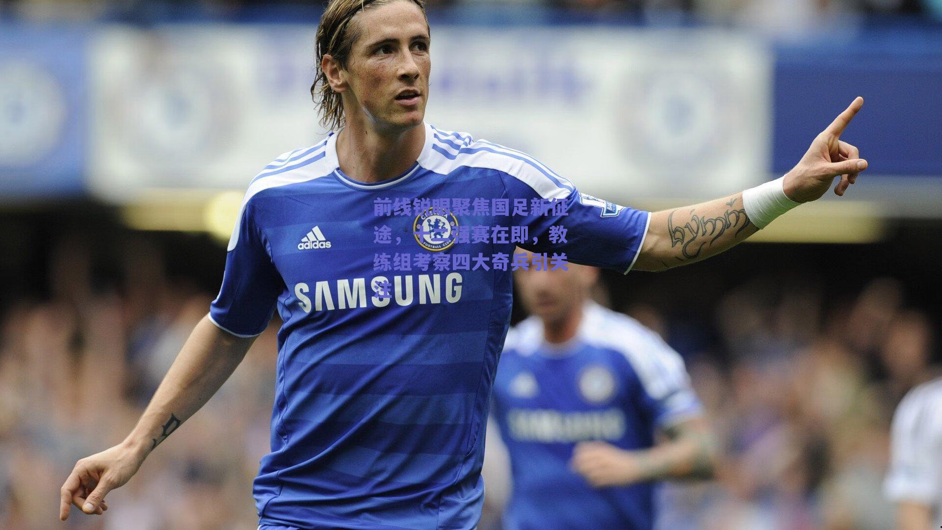 前线锐眼聚焦国足新征途,十二强赛在即,教练组考察四大奇兵引关注